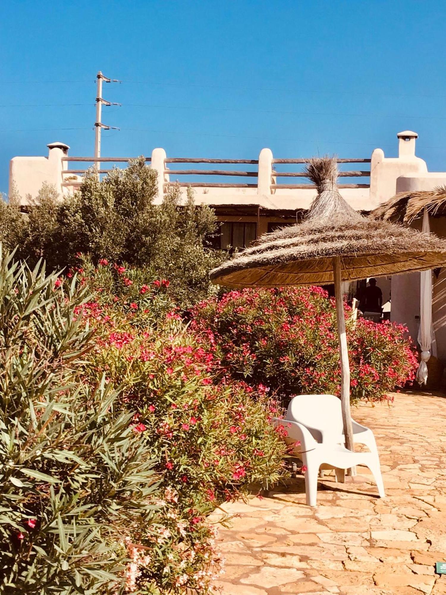 Al Ghar Dar Alya Essaouira Maison Et Table D'Hotes מראה חיצוני תמונה