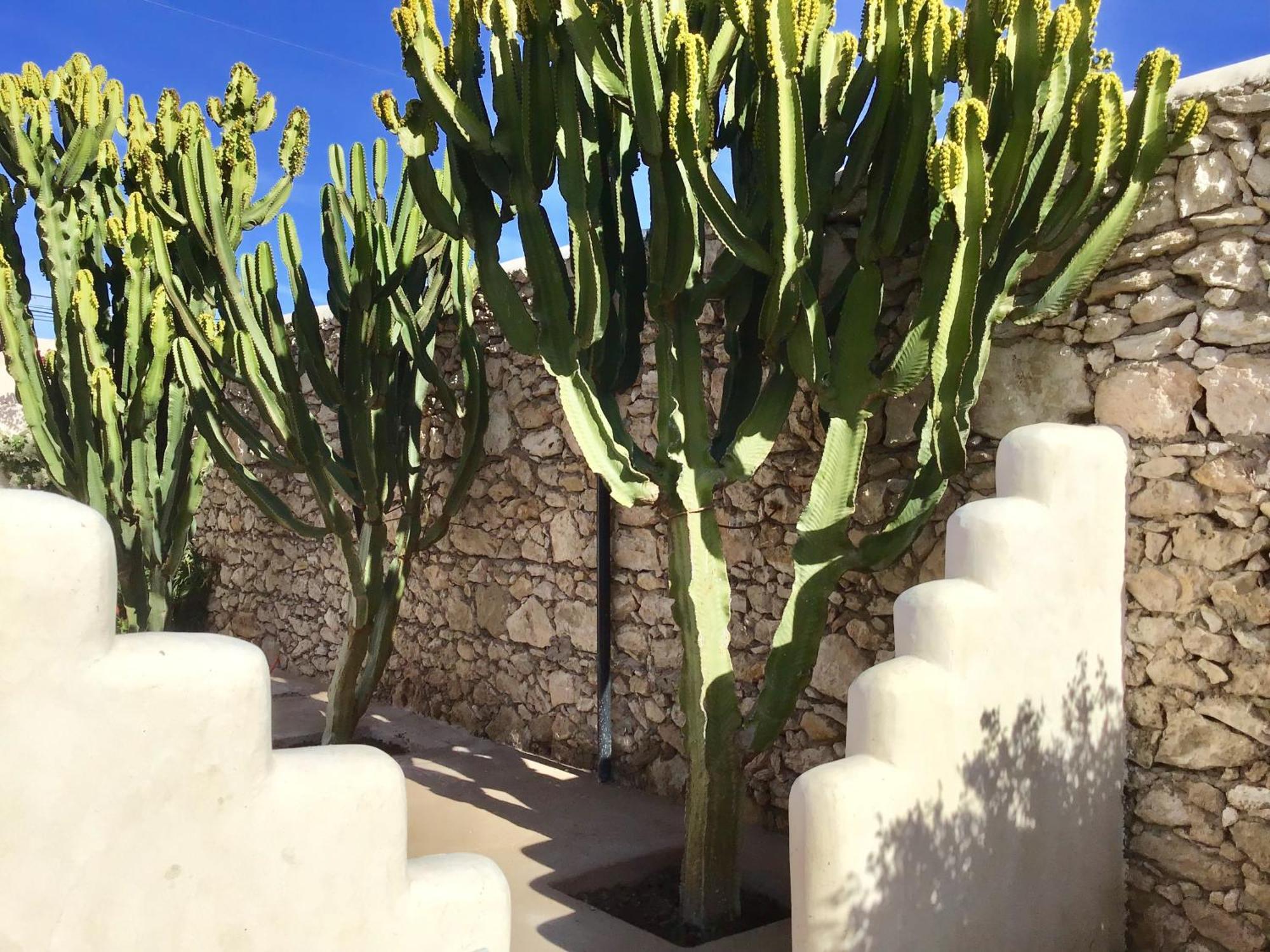 Al Ghar Dar Alya Essaouira Maison Et Table D'Hotes מראה חיצוני תמונה