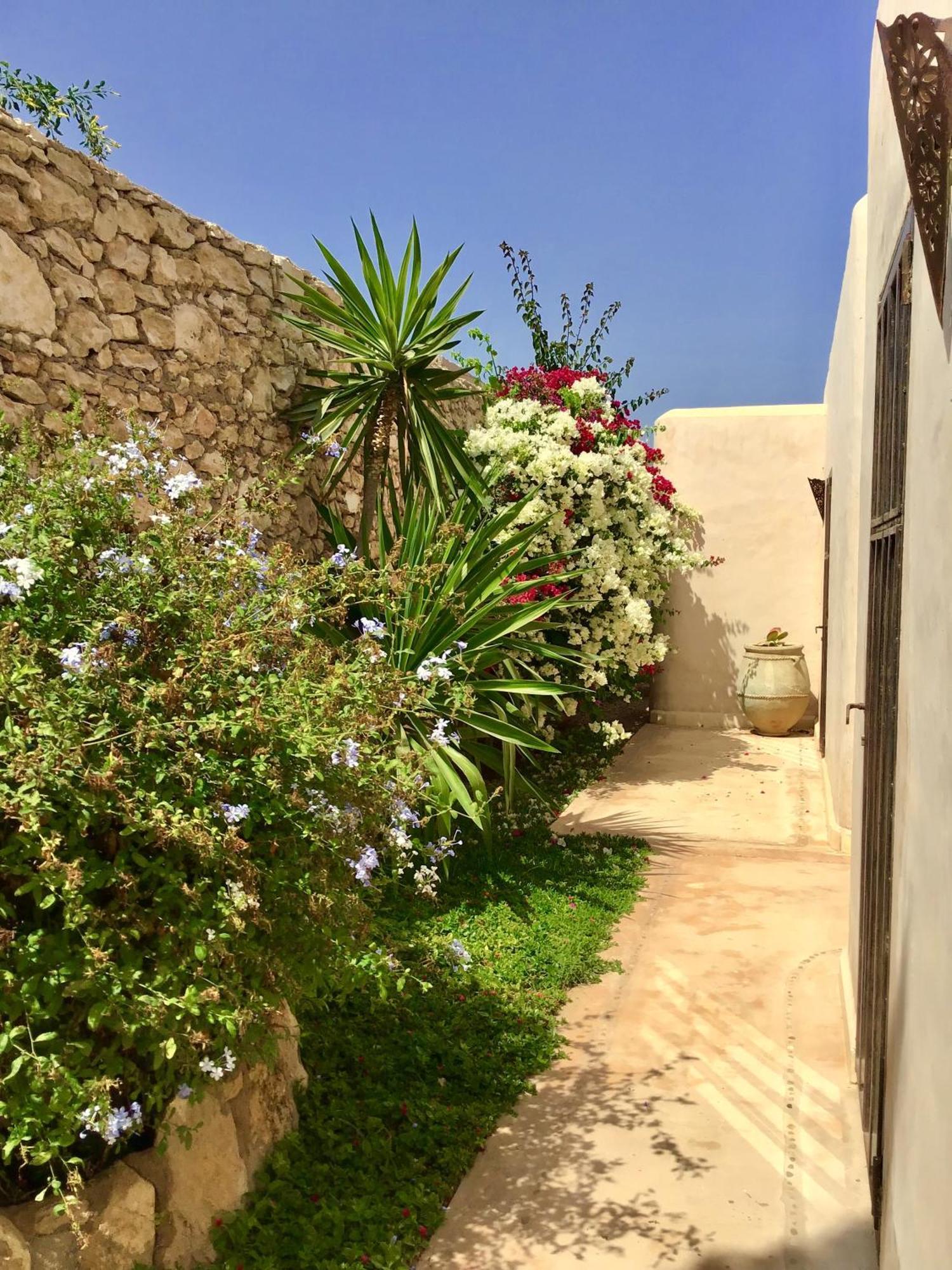 Al Ghar Dar Alya Essaouira Maison Et Table D'Hotes מראה חיצוני תמונה